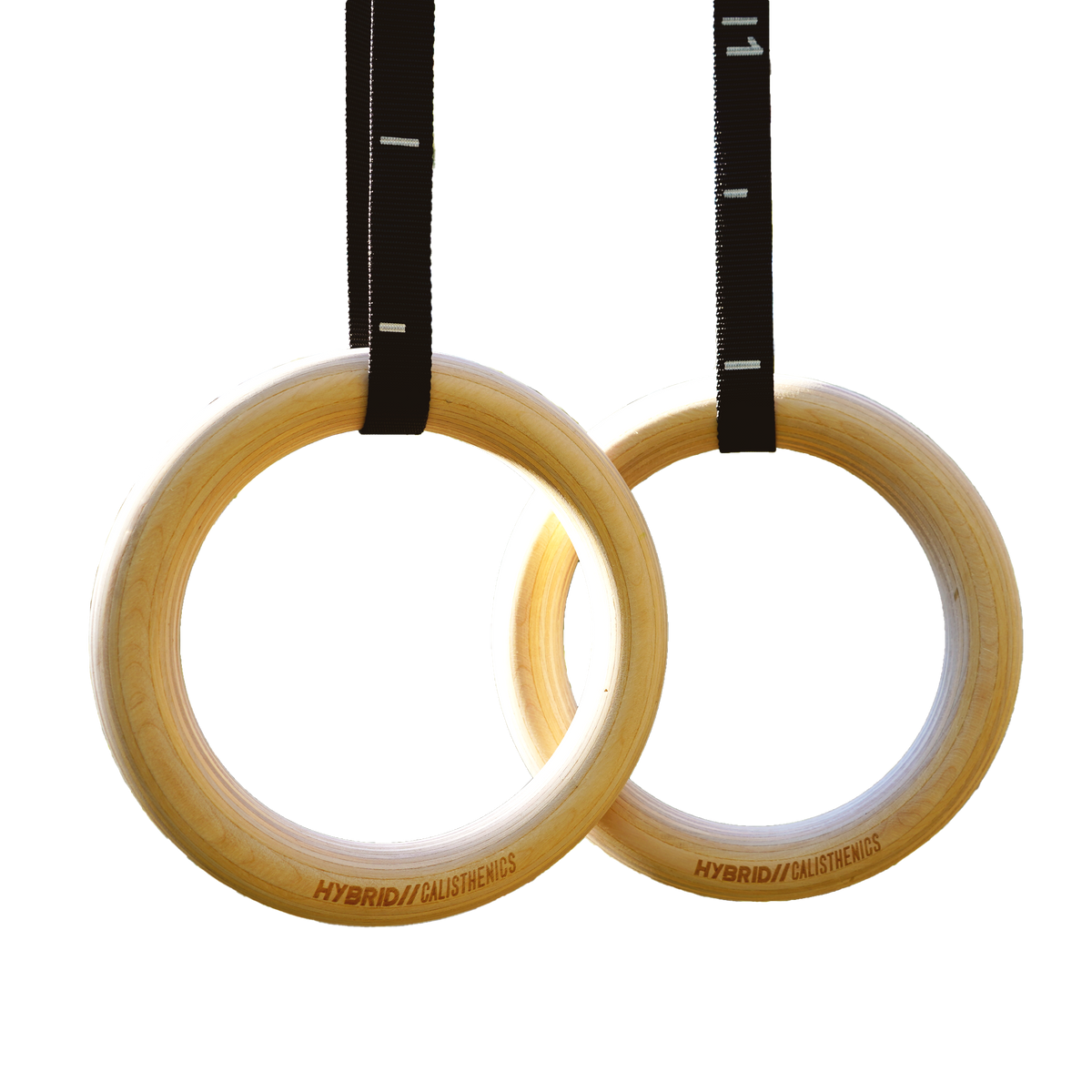 CREA Birch Gymnastics Ring, Professional Adjustable Fitness Ring