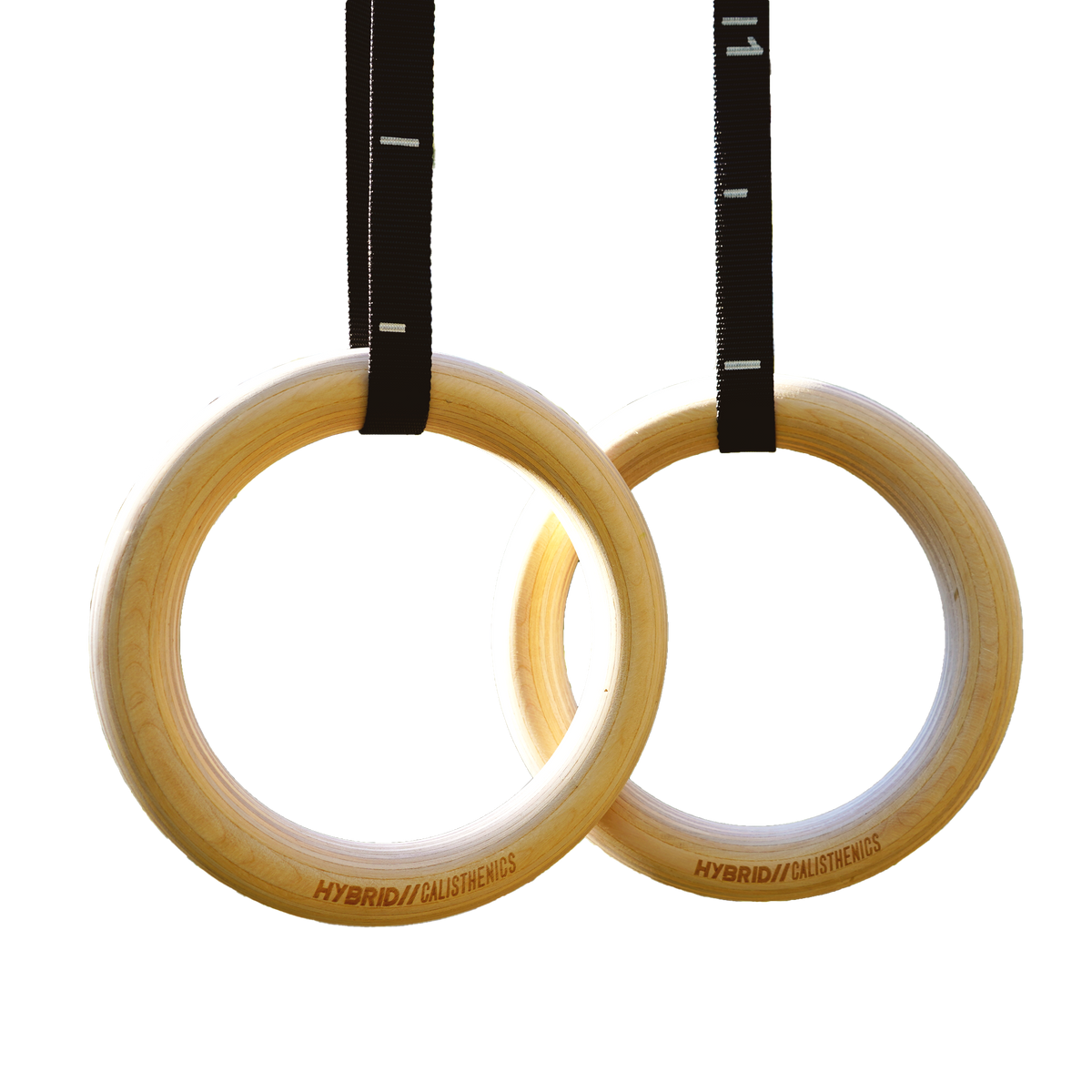 Gymnastic Rings – Hybrid Calisthenics Shop